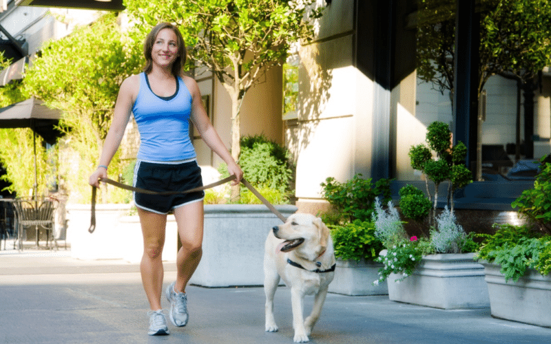 Take Dog for Walk to Get Exercise